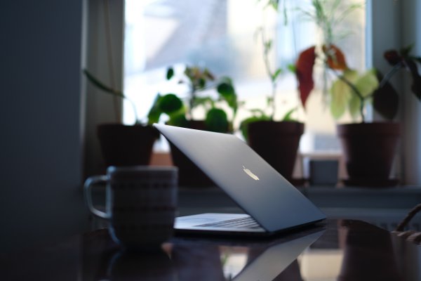 psychologische Beratung Online braucht nicht viel: Bild mit halb aufgeklapptem Laptop mit Tasse im Vordergrund und Fensterbank mit Grünpflanzen im Hintergrund
